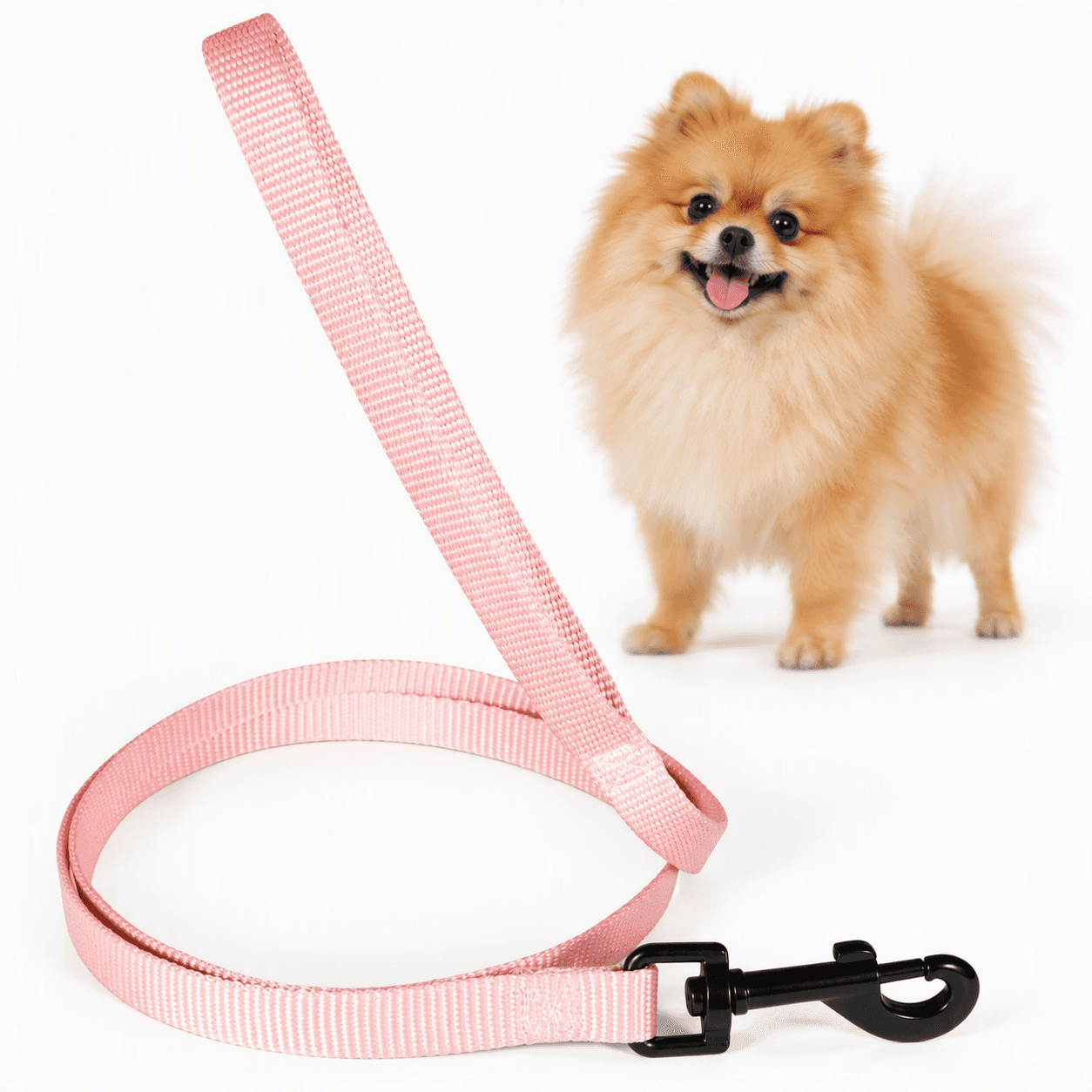 ZOLUX Klassische Nylon-Hundeleine, 1,20 m, 15 mm, rosa