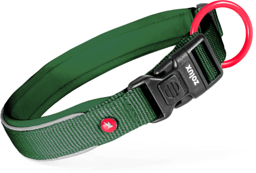 ZOLUX Premium-Nylon-Hundehalsband, Größe XXS, 25–30 cm, 15 mm, grün