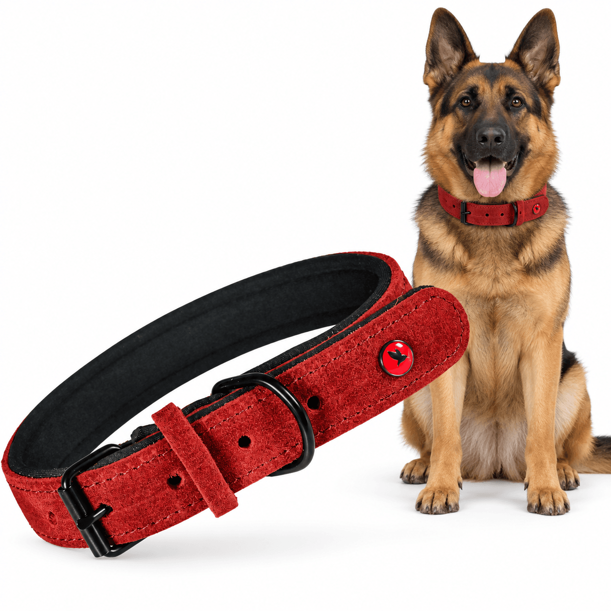 ZOLUX Komfort-Lederhalsband für Hunde, 41–53 cm, 25 mm, rot