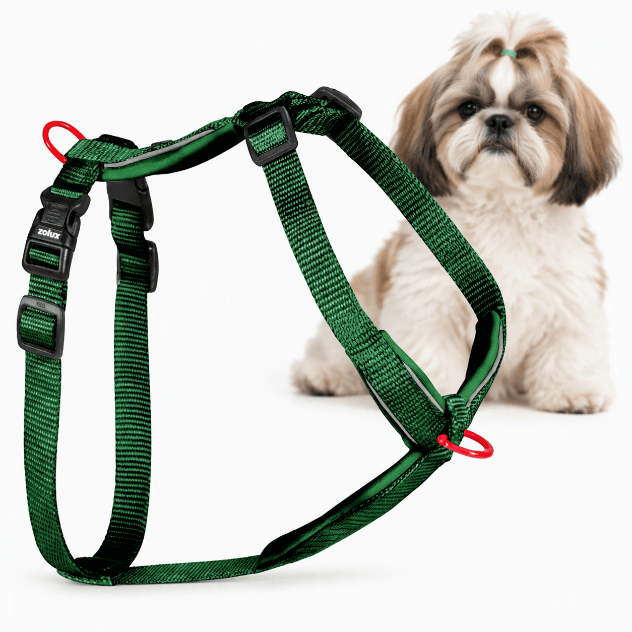 ZOLUX Premium-Nylon-Hundegeschirr, Größe S, 38–56 cm, 15 mm, grün