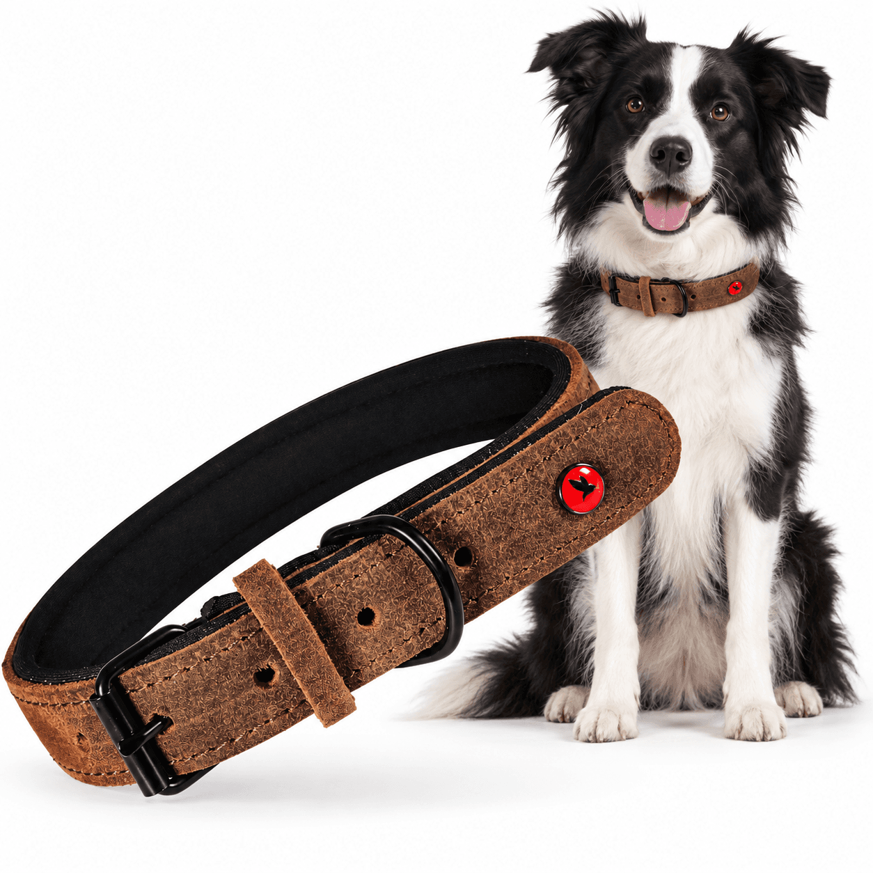 ZOLUX Komfort-Lederhalsband für Hunde, 33–39 cm, 18 mm, braun