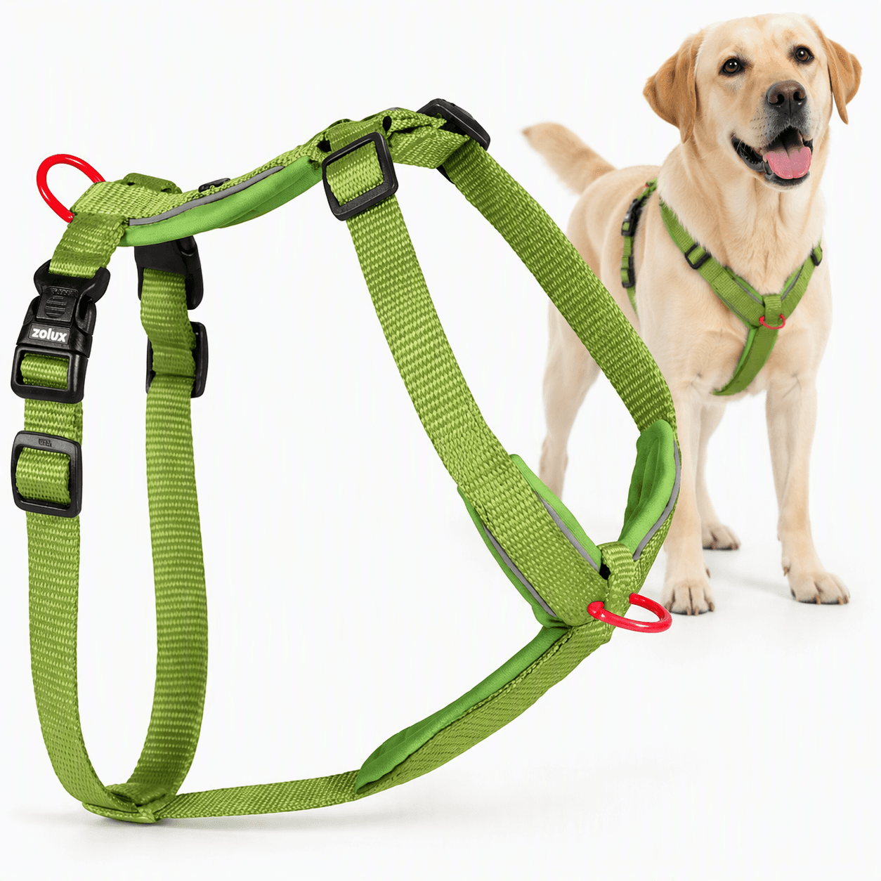 ZOLUX Premium-Nylon-Hundegeschirr, Größe L/XL, 65–97 cm, 25 mm, hellgrün