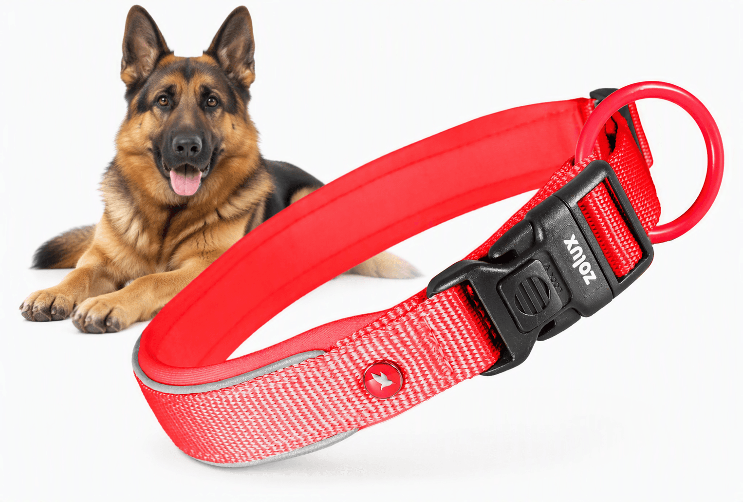 ZOLUX Premium-Nylon-Hundehalsband, Größe L, 45–50 cm, 25 mm, rot