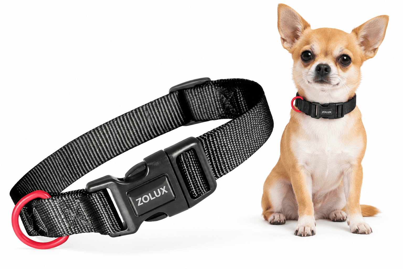 ZOLUX Klassisches Nylon-Hundehalsband, 21–36 cm, 10 mm, schwarz