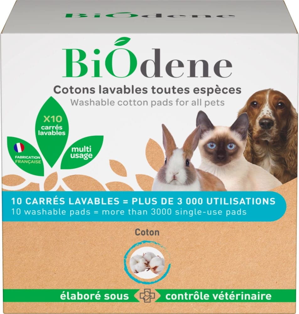 Präparate für Katzen