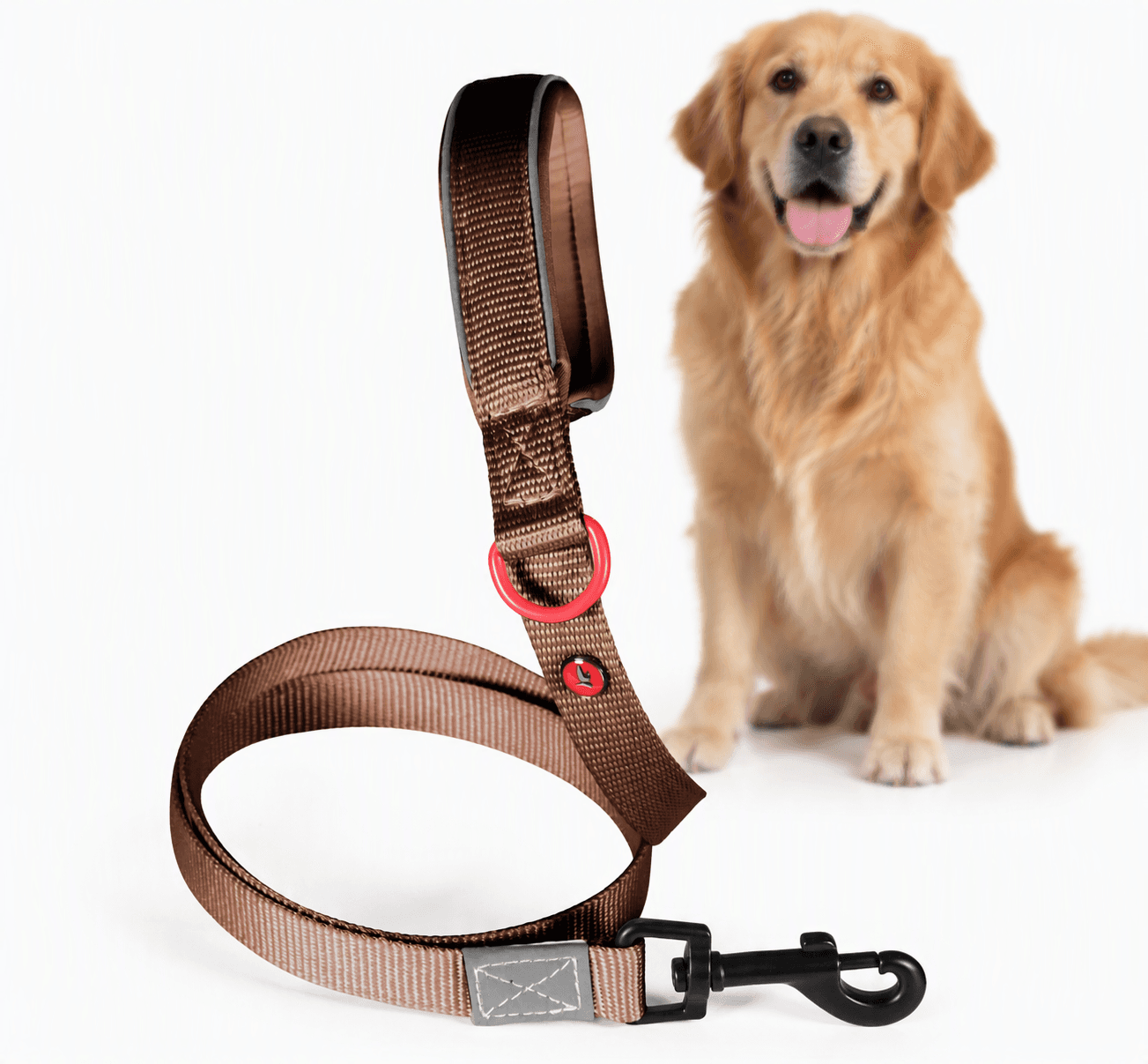 ZOLUX Premium-Nylon-Hundeleine, Größe XL, 1,2 m, 25 mm, mocha