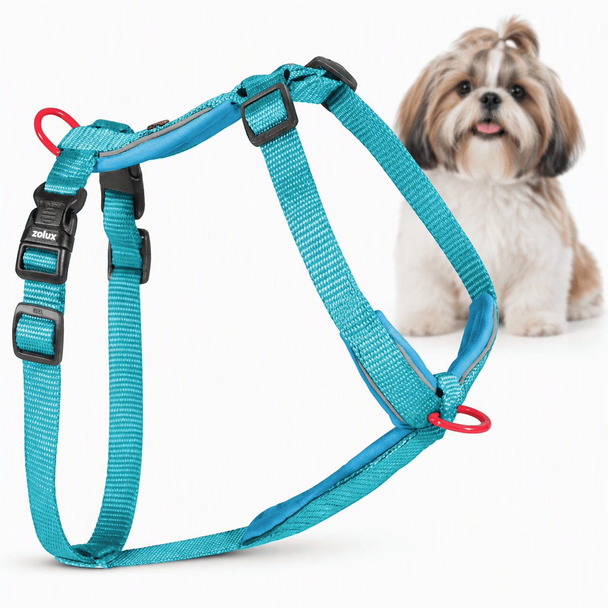 ZOLUX Premium-Nylon-Hundegeschirr, Größe S, 38–56 cm, 15 mm, türkis
