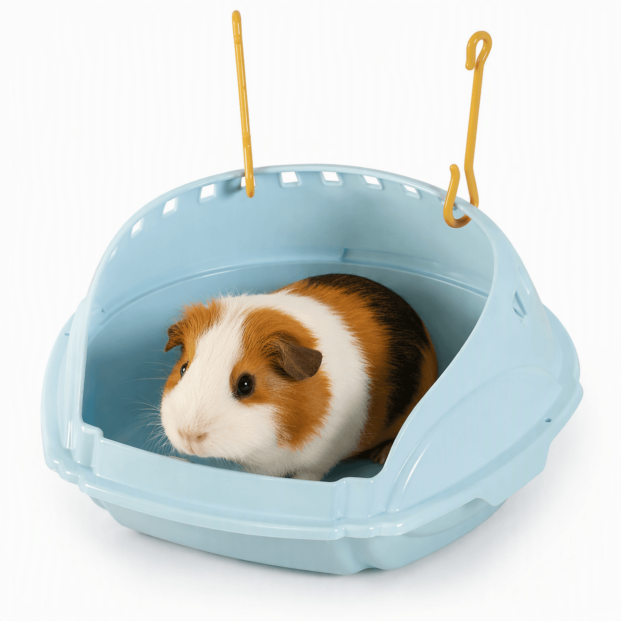 ZOLUX COSY Ecktoilette für Meerschweinchen, blau