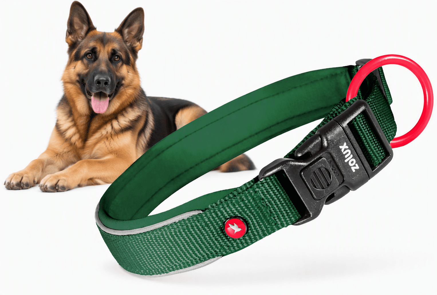 ZOLUX Premium-Nylon-Hundehalsband, Größe L, 45–50 cm, 25 mm, grün