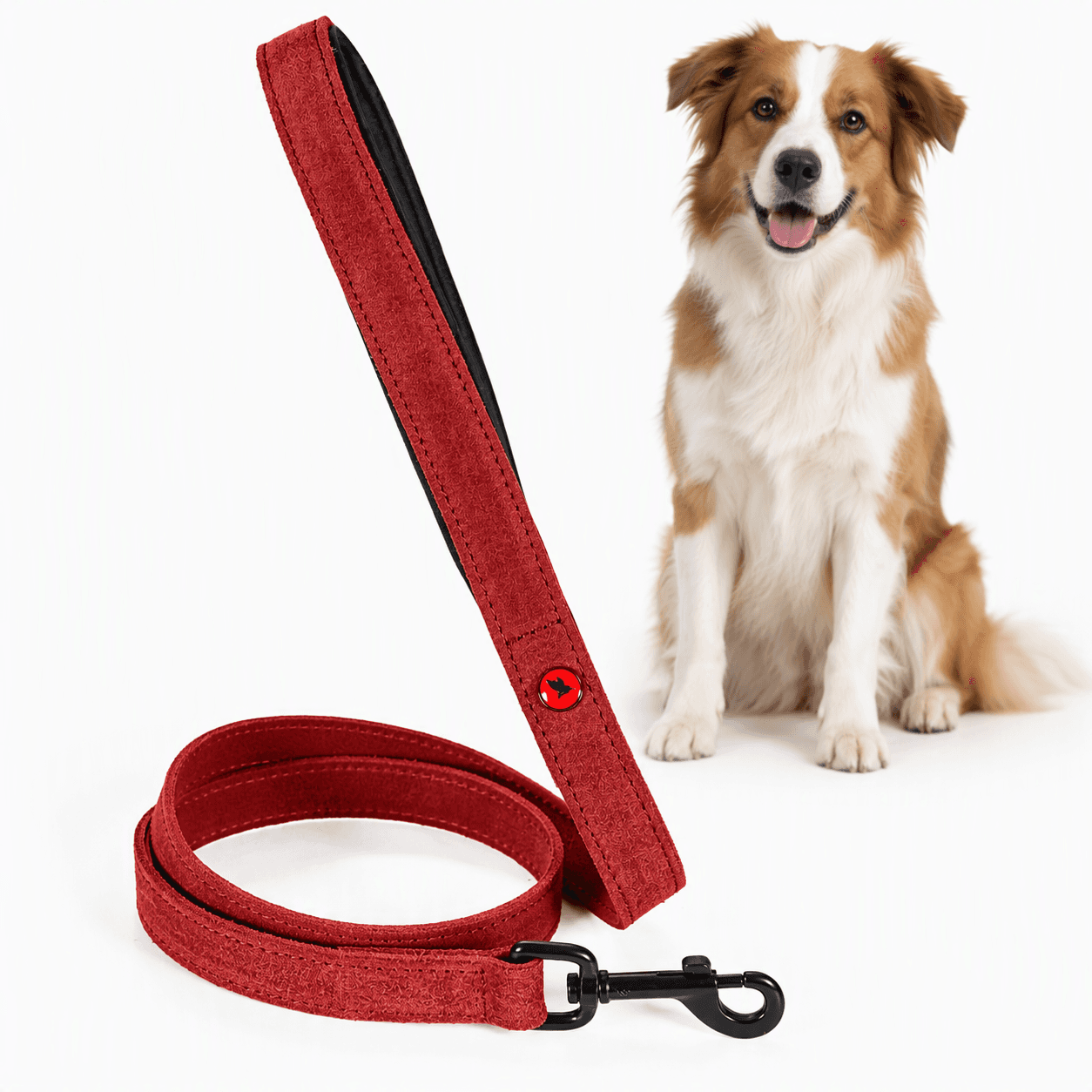 ZOLUX Komfort-Lederleine für Hunde, 1 m, 20 mm, rot