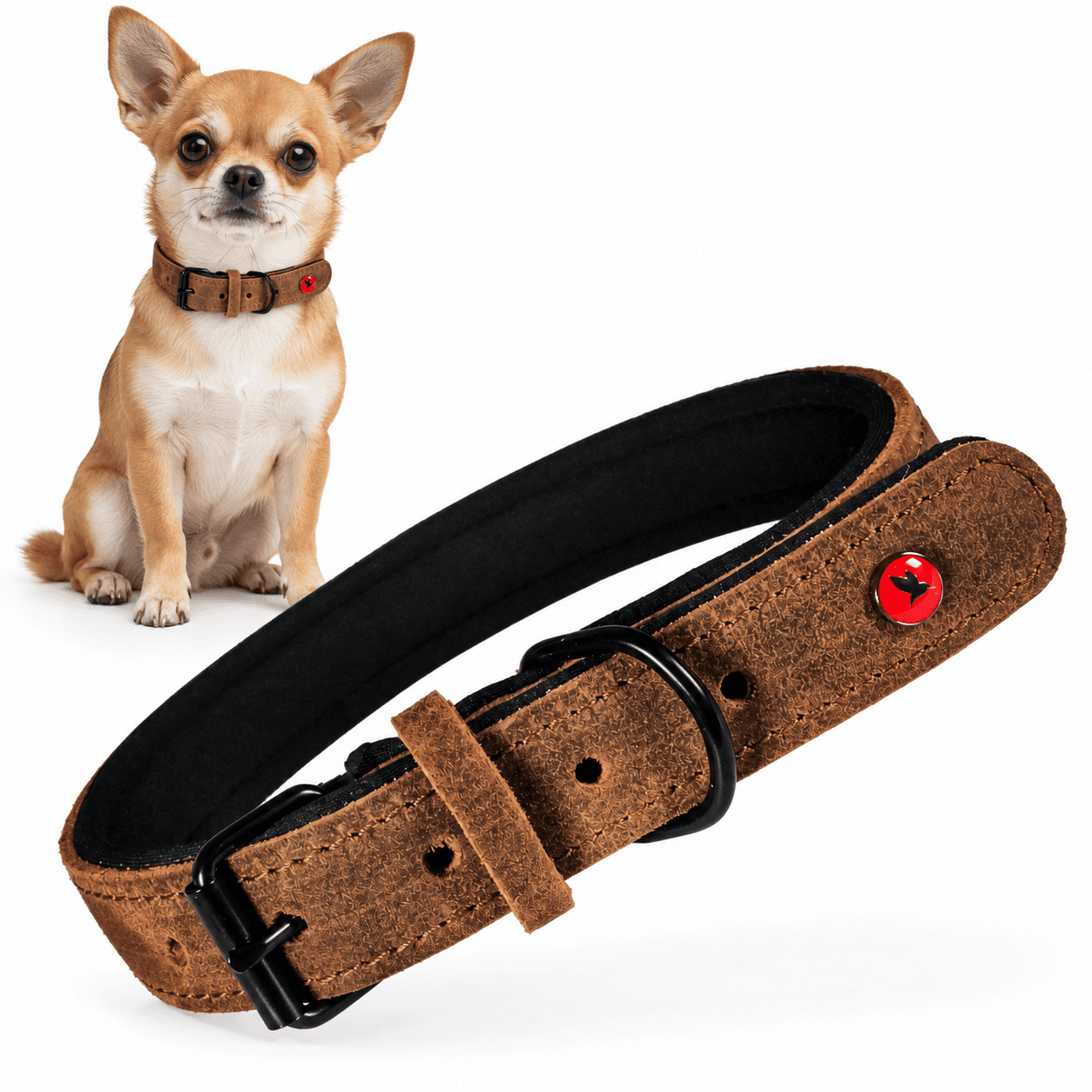 ZOLUX Komfort-Lederhalsband für Hunde, 23–30 cm, 14 mm, braun