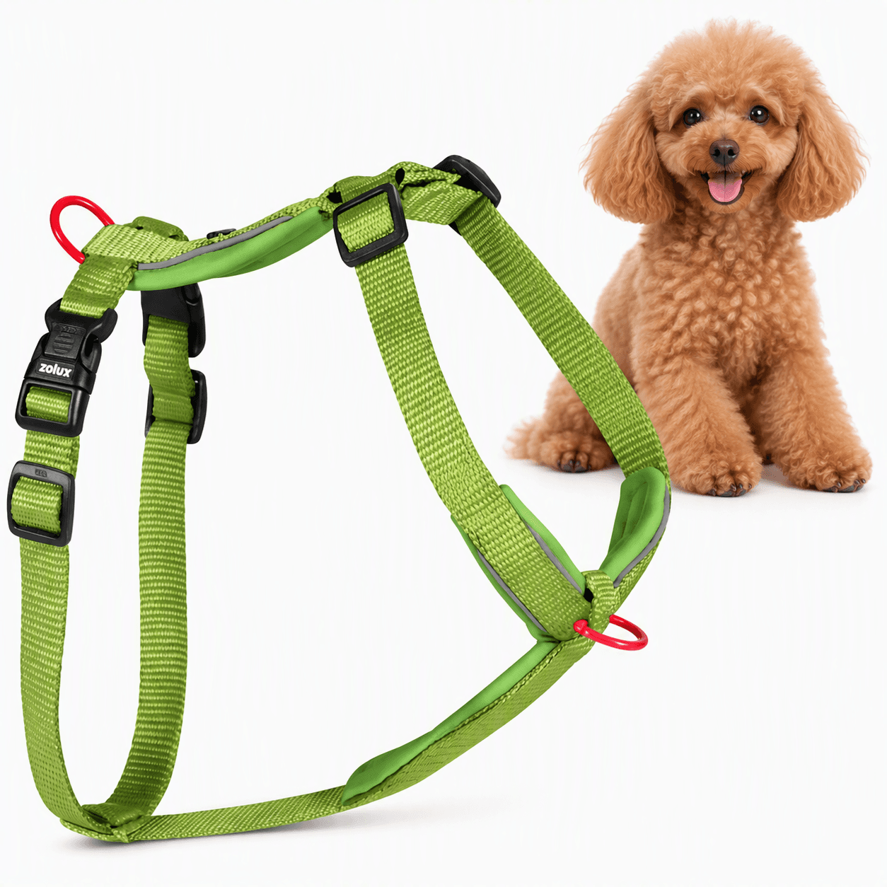 ZOLUX Premium-Nylon-Hundegeschirr, Größe XS, 30–40 cm, 15 mm, hellgrün