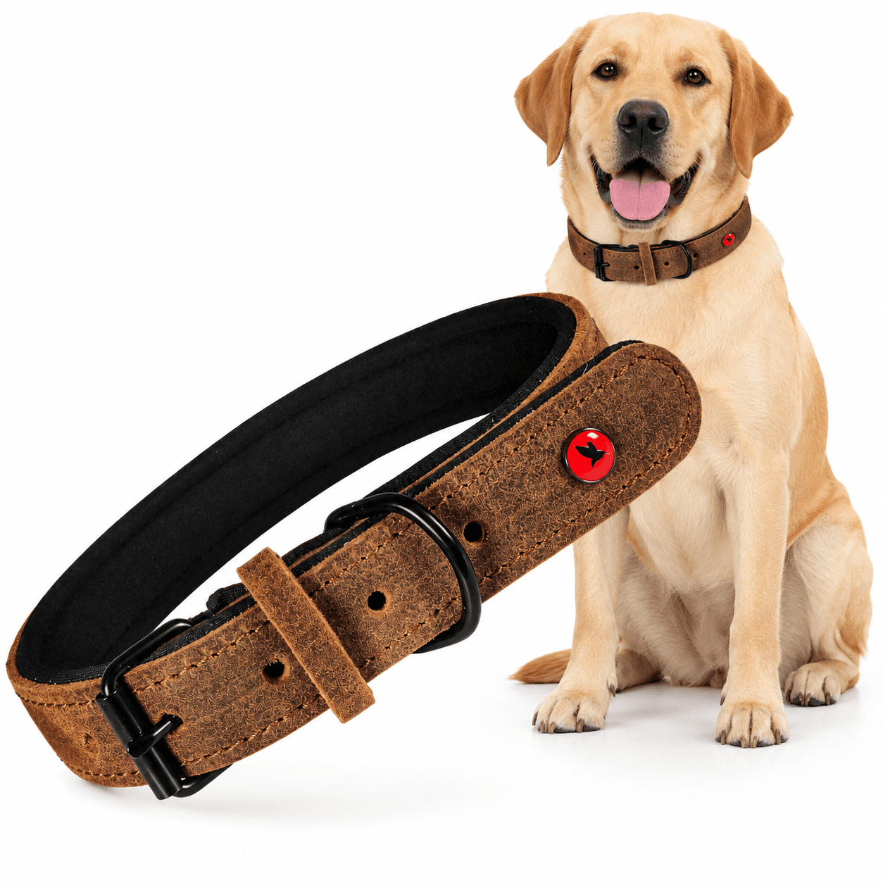 ZOLUX Komfort-Lederhalsband für Hunde, 34–44 cm, 20 mm, braun