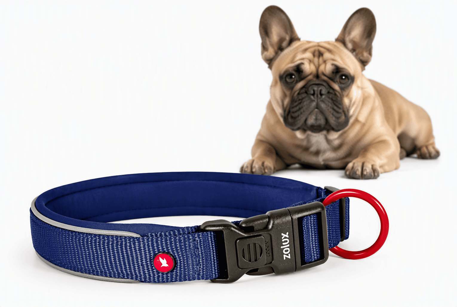 ZOLUX Premium-Nylon-Hundehalsband, Größe S, 35–40 cm, 20 mm, marineblau