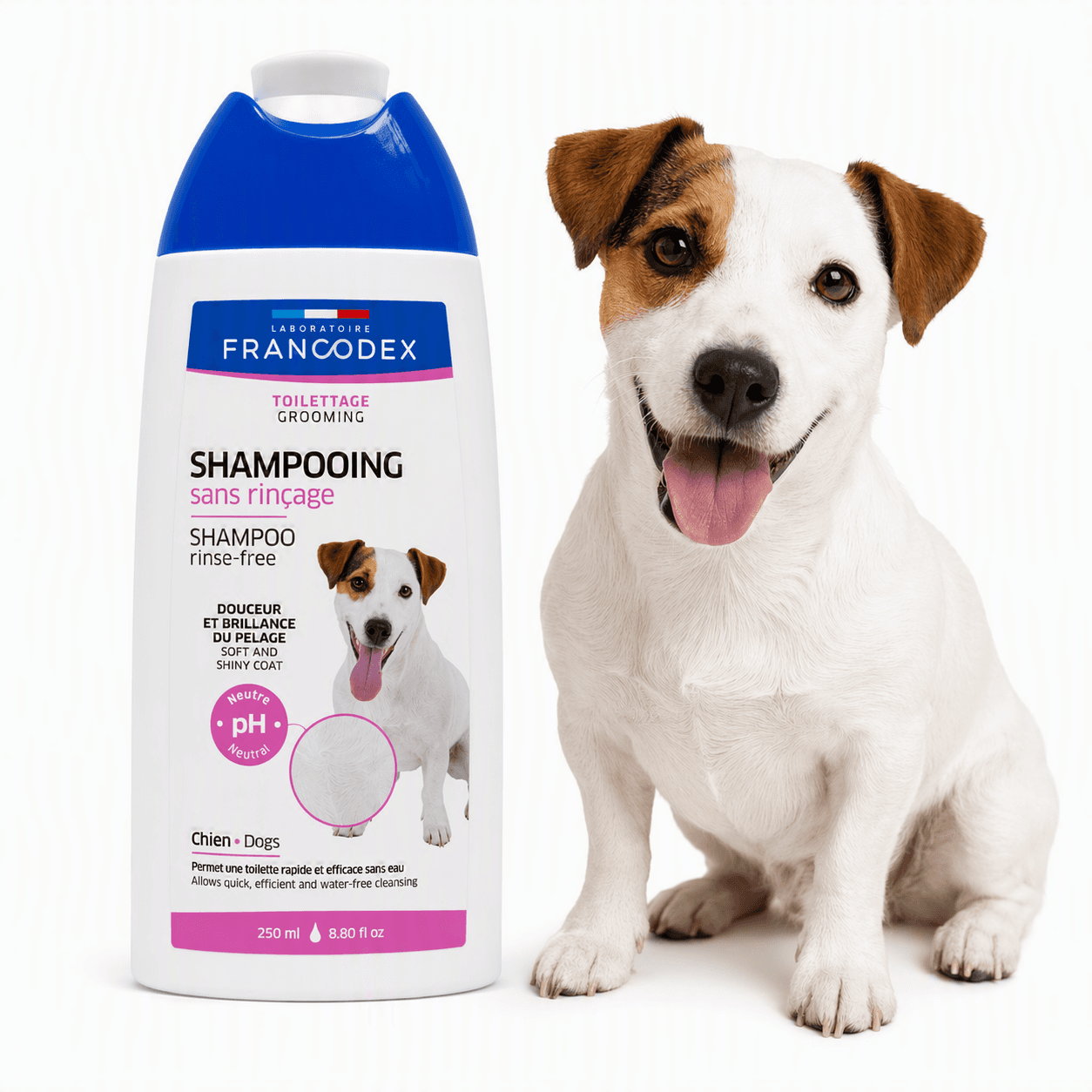 FRANCODEX Hundeshampoo ohne Ausspülen, 250 ml
