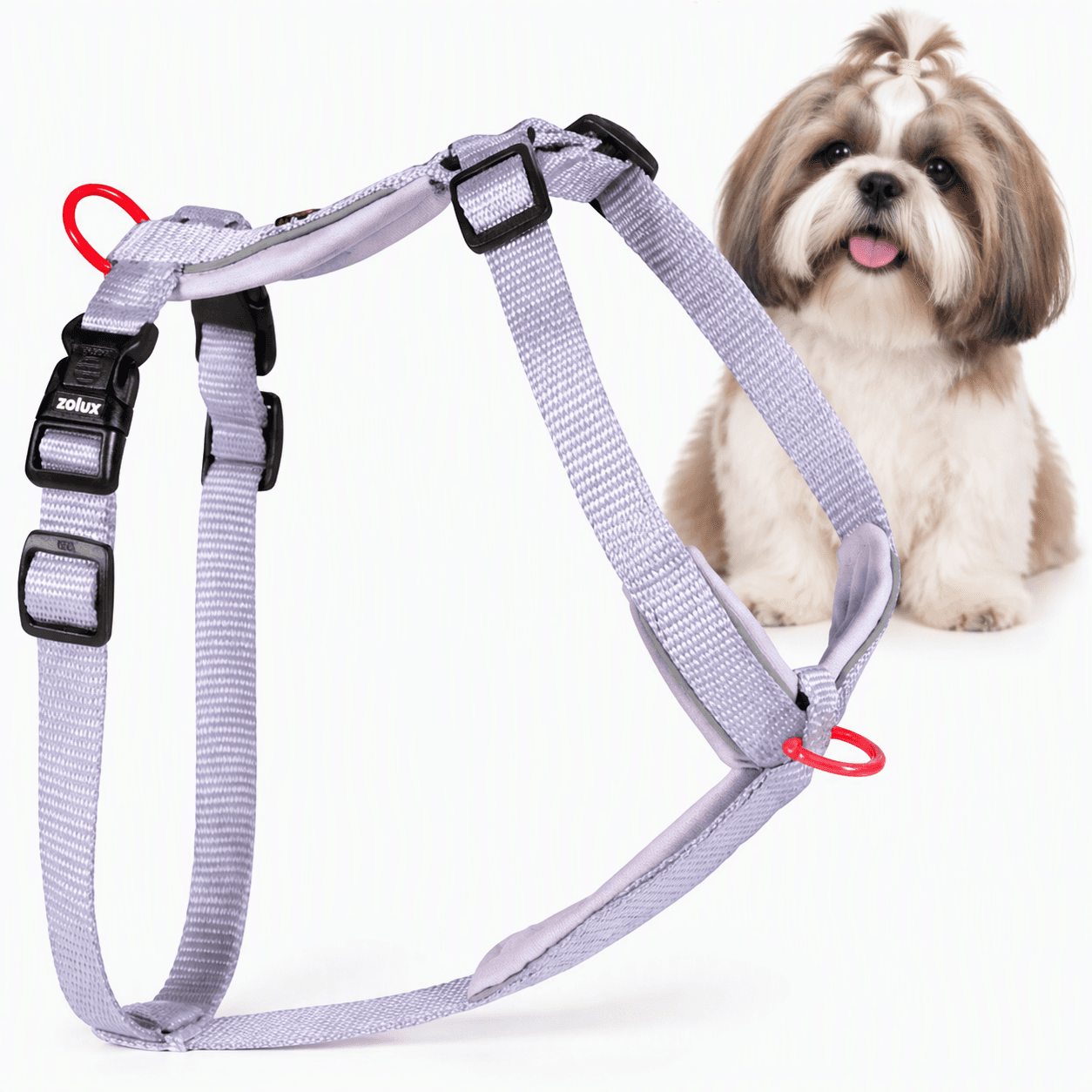ZOLUX Premium-Nylon-Hundegeschirr, Größe S, 38–56 cm, 15 mm, lila
