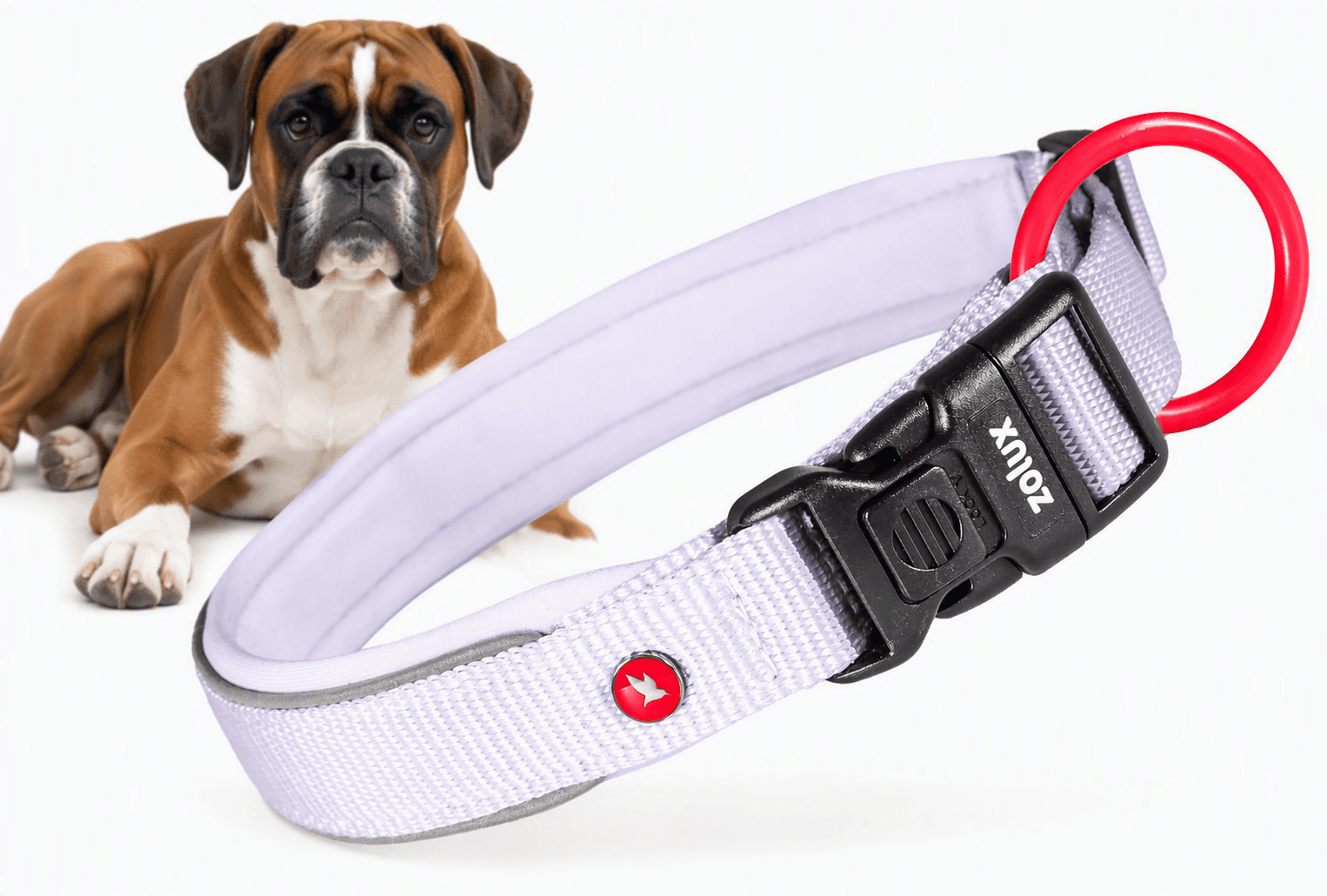 ZOLUX Premium-Nylon-Hundehalsband, Größe XL, 50–55 cm, 25 mm, lila