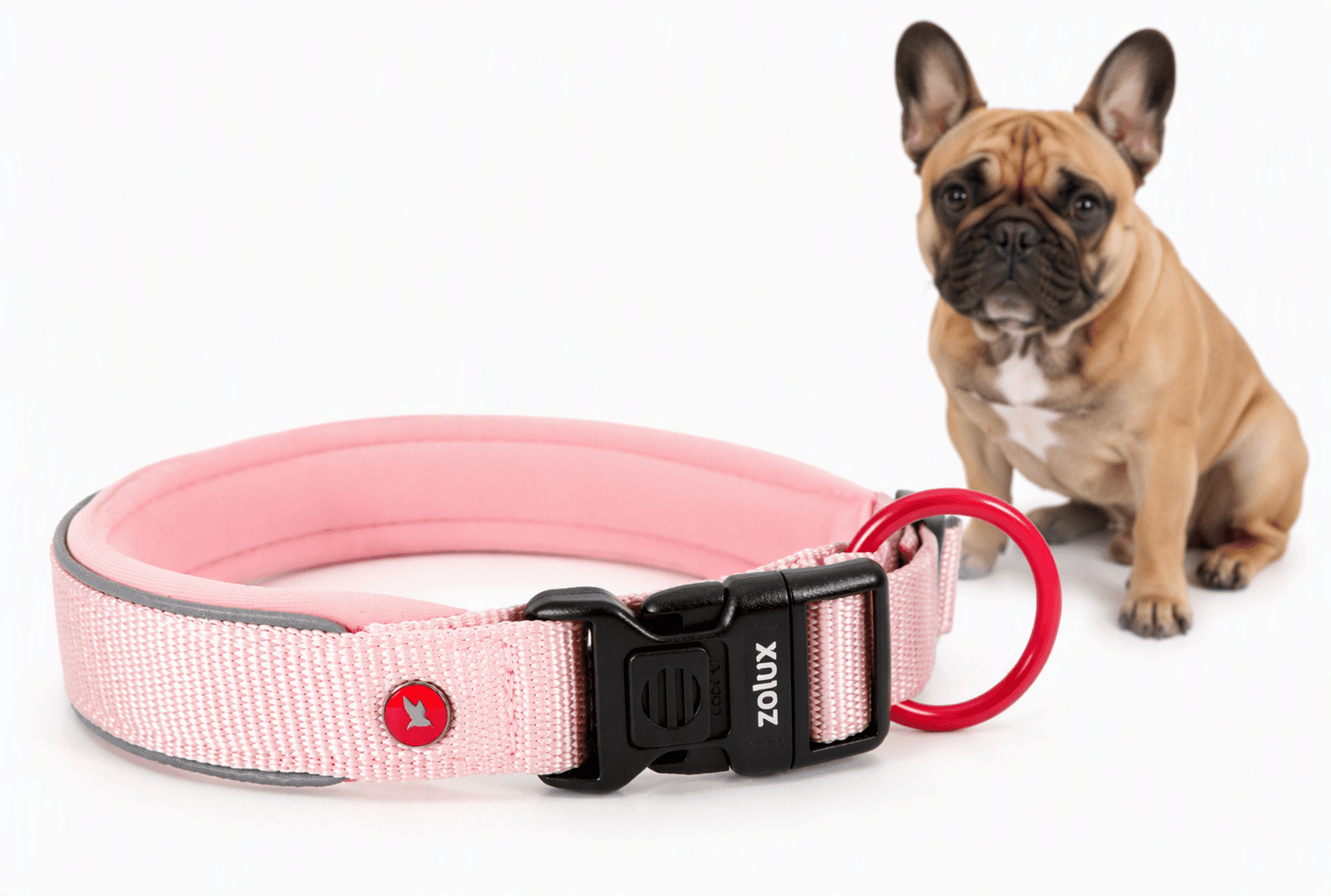 ZOLUX Premium-Nylon-Hundehalsband, Größe S, 35–40 cm, 20 mm, rosa