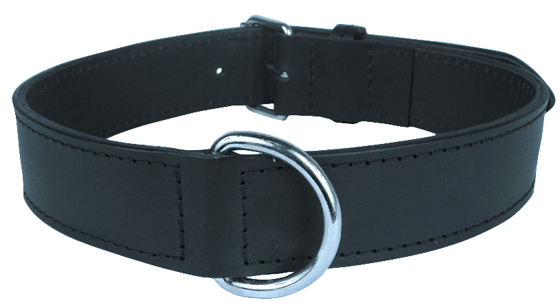 ZOLUX Verstärktes Hundehalsband aus Doppel-Leder, 80 cm, schwarz