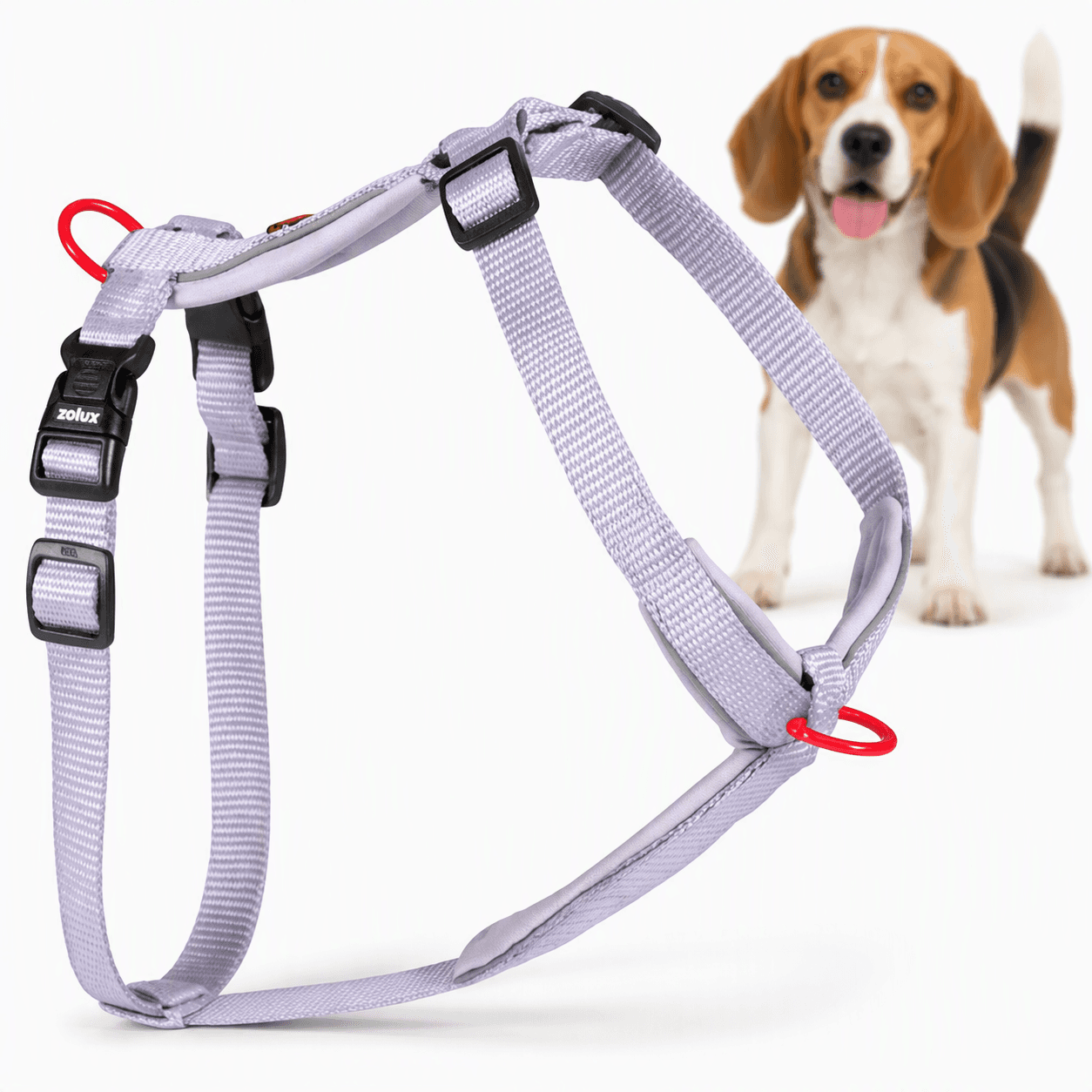 ZOLUX Premium-Nylon-Hundegeschirr, Größe M, 50–74 cm, 20 mm, lila