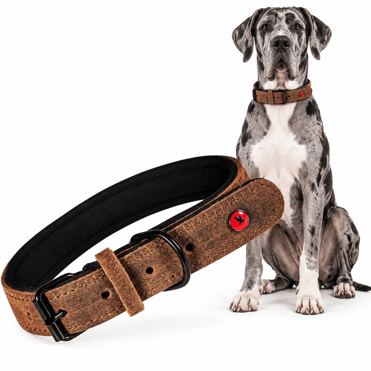 ZOLUX Komfort-Lederhalsband für Hunde, 63–74 cm, 30 mm, braun