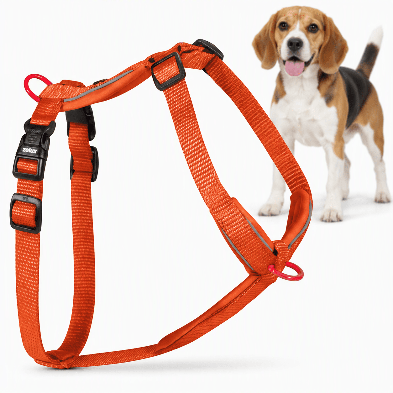 ZOLUX Premium-Nylon-Hundegeschirr, Größe M, 50–74 cm, 20 mm, rostbraun