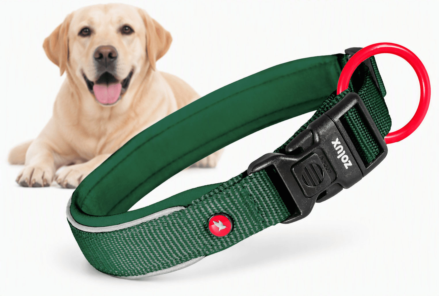 ZOLUX Premium-Nylon-Hundehalsband, Größe M, 40–45 cm, 20 mm, grün