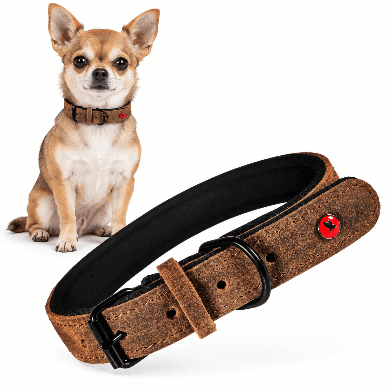ZOLUX Komfort-Lederhalsband für Hunde, 17–24 cm, 14 mm, braun