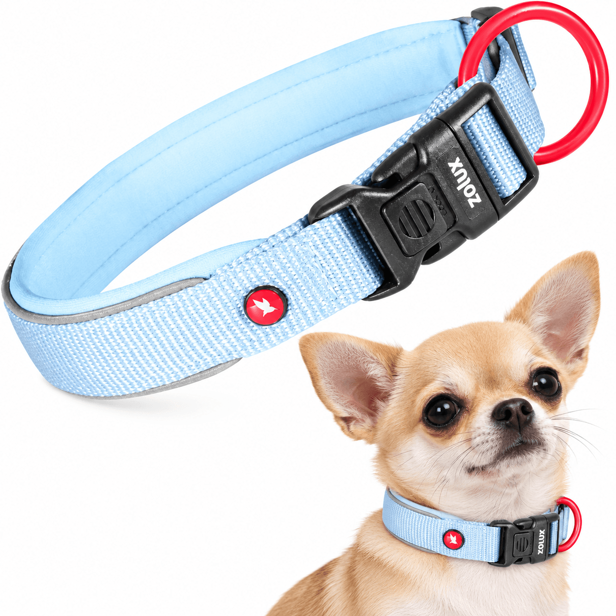 ZOLUX Premium-Nylon-Hundehalsband, Größe XXS, 25–30 cm, 15 mm, hellblau