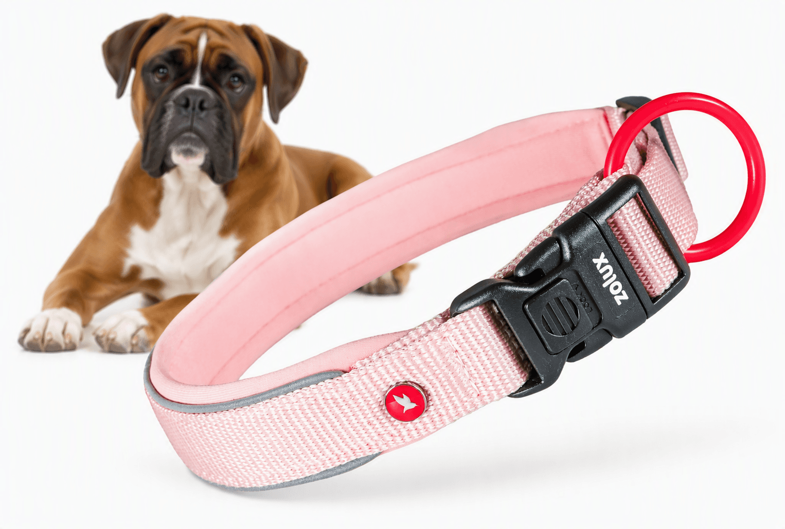 ZOLUX Premium-Nylon-Hundehalsband, Größe XL, 50–55 cm, 25 mm, rosa