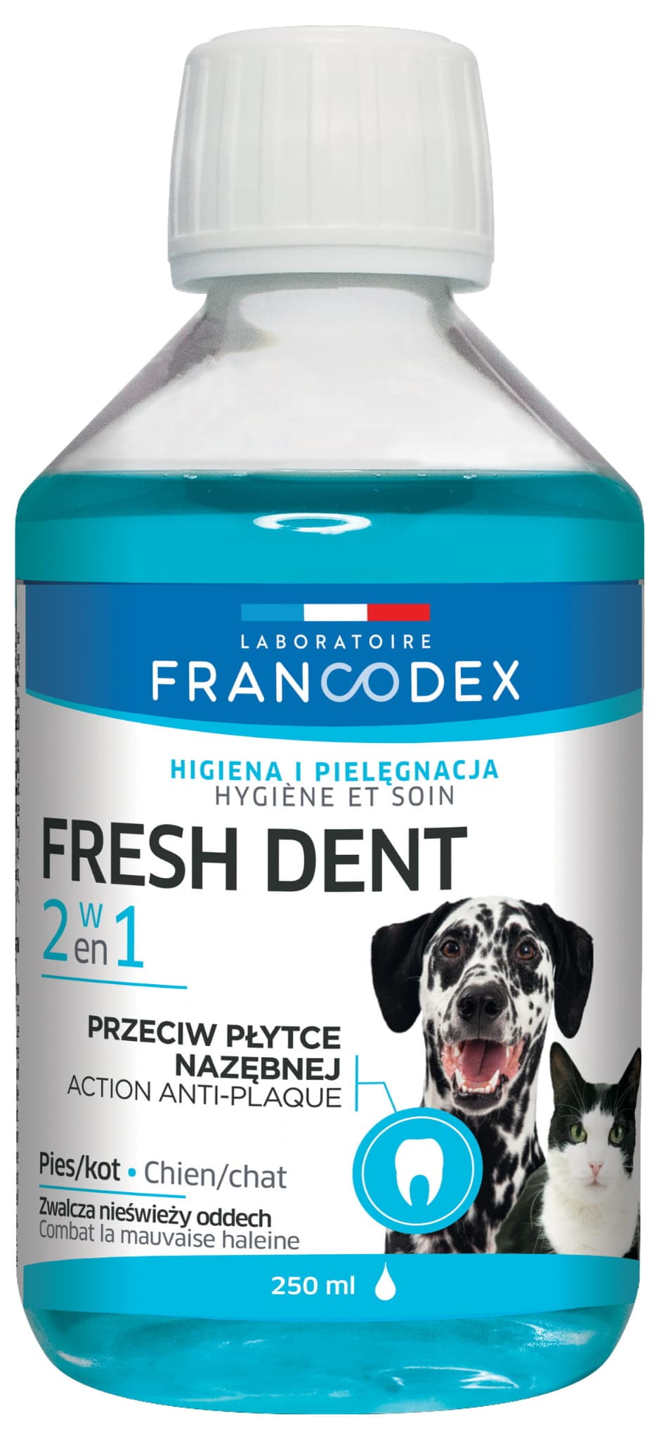 Mundhygiene für Katzen