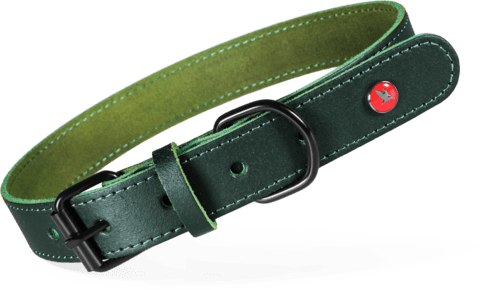 ZOLUX Klassisches Lederhalsband für Hunde, 30–36 cm, 16 mm, grün