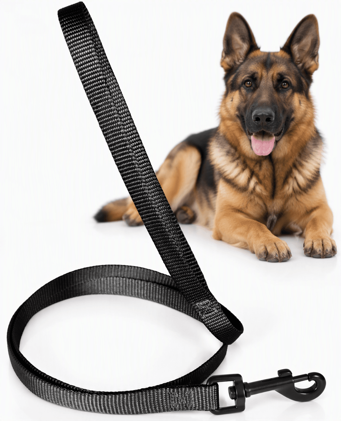 ZOLUX Klassische Nylon-Hundeleine, 1,20 m, 25 mm, schwarz – Bild 1