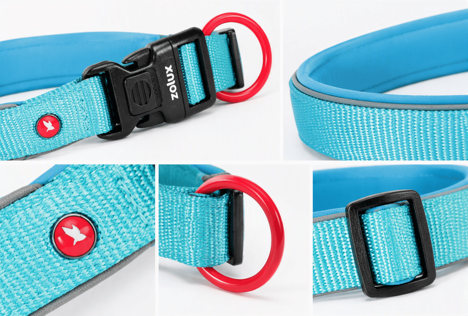 ZOLUX Premium-Nylon-Hundehalsband, Größe XXS, 25–30 cm, 15 mm, türkis – Bild 4