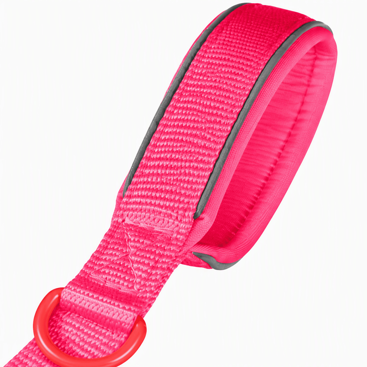 ZOLUX Premium-Nylon-Hundeleine, Größe M, 1,2 m, 20 mm, fuchsia – Bild 5