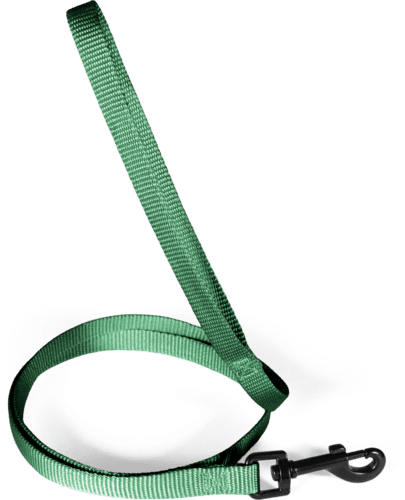 ZOLUX Klassische Nylon-Hundeleine, 1,20 m, 15 mm, grün – Bild 2