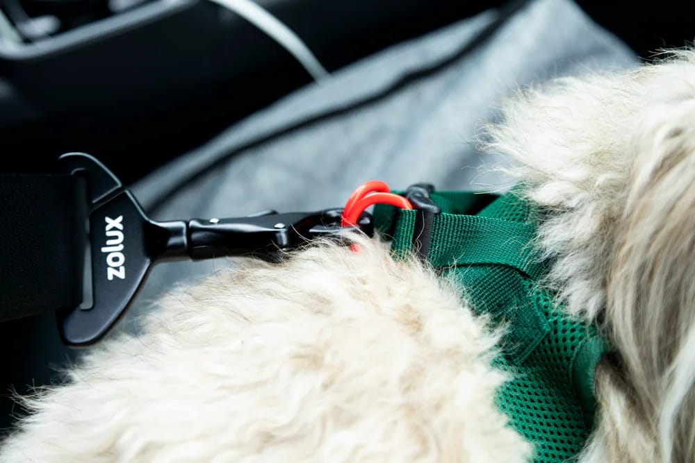 ZOLUX NOMAD Sicherheitsschnalle für Hunde-Autosicherheitsgurte – Bild 4