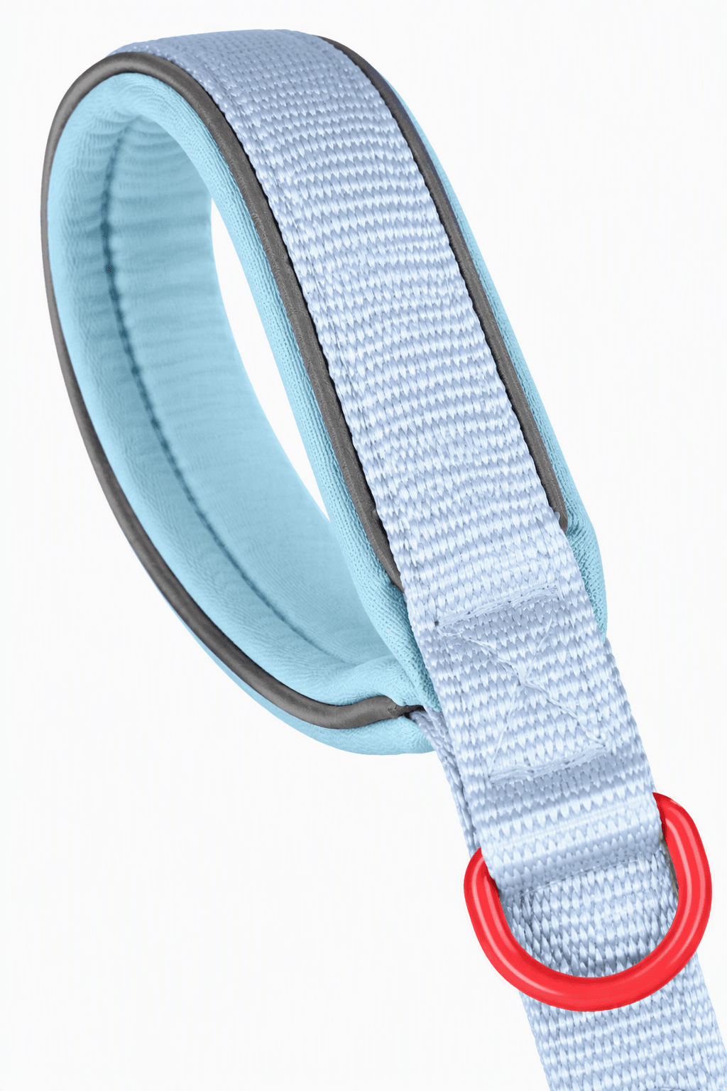 ZOLUX Premium-Nylon-Hundeleine, Größe M, 1,2 m, 20 mm, hellblau – Bild 4