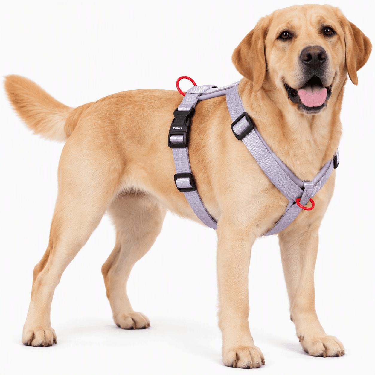 ZOLUX Premium-Nylon-Hundegeschirr, Größe L/XL, 65–97 cm, 25 mm, lila – Bild 6