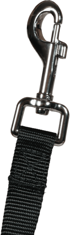 ZOLUX Lange Gurtbandleine für Hunde, 10 m, 20 mm, schwarz – Bild 4