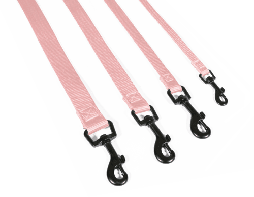 ZOLUX Klassische Nylon-Hundeleine, 1,20 m, 20 mm, rosa – Bild 2