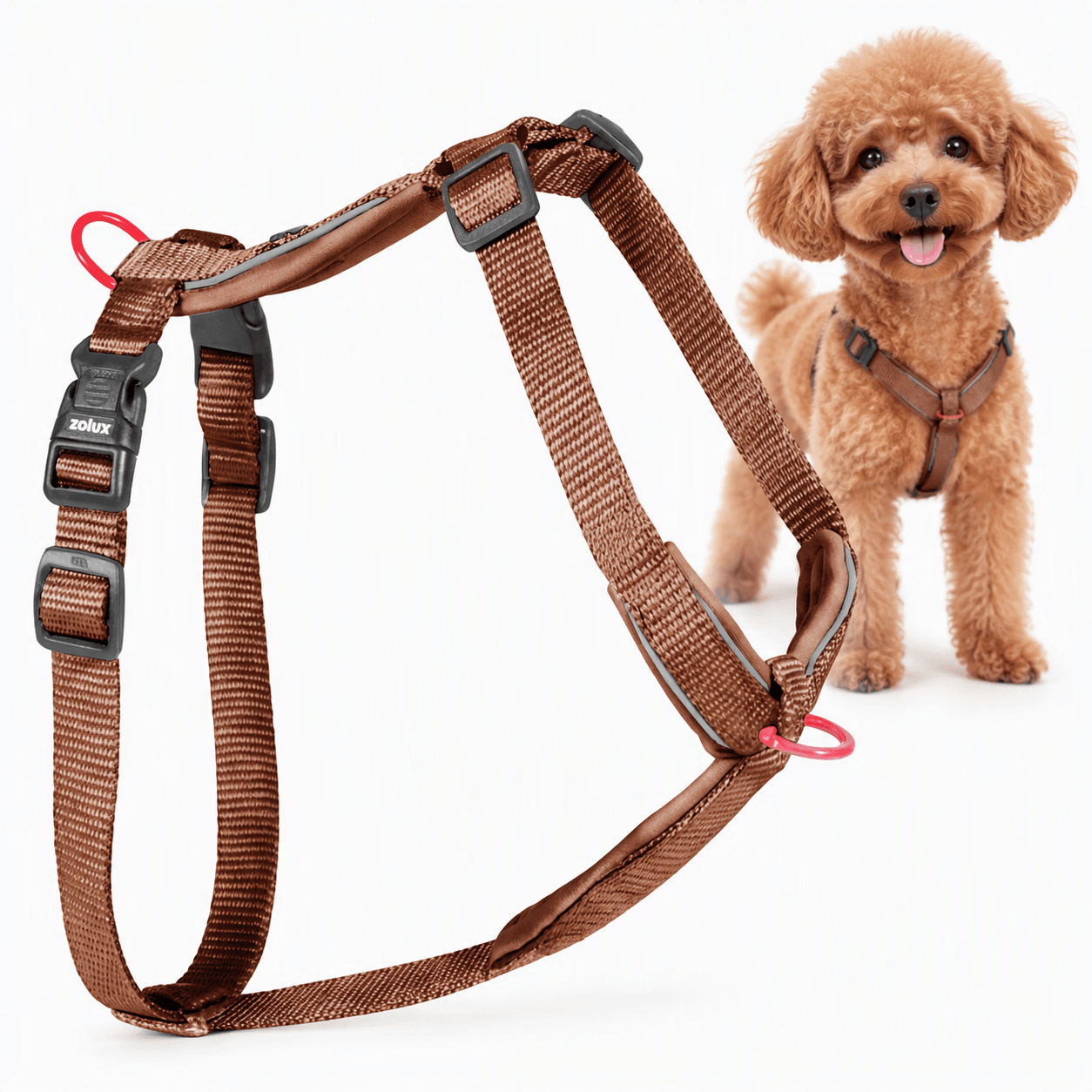 ZOLUX Premium-Nylon-Hundegeschirr, Größe XS, 30–40 cm, 15 mm, mocha – Bild 1