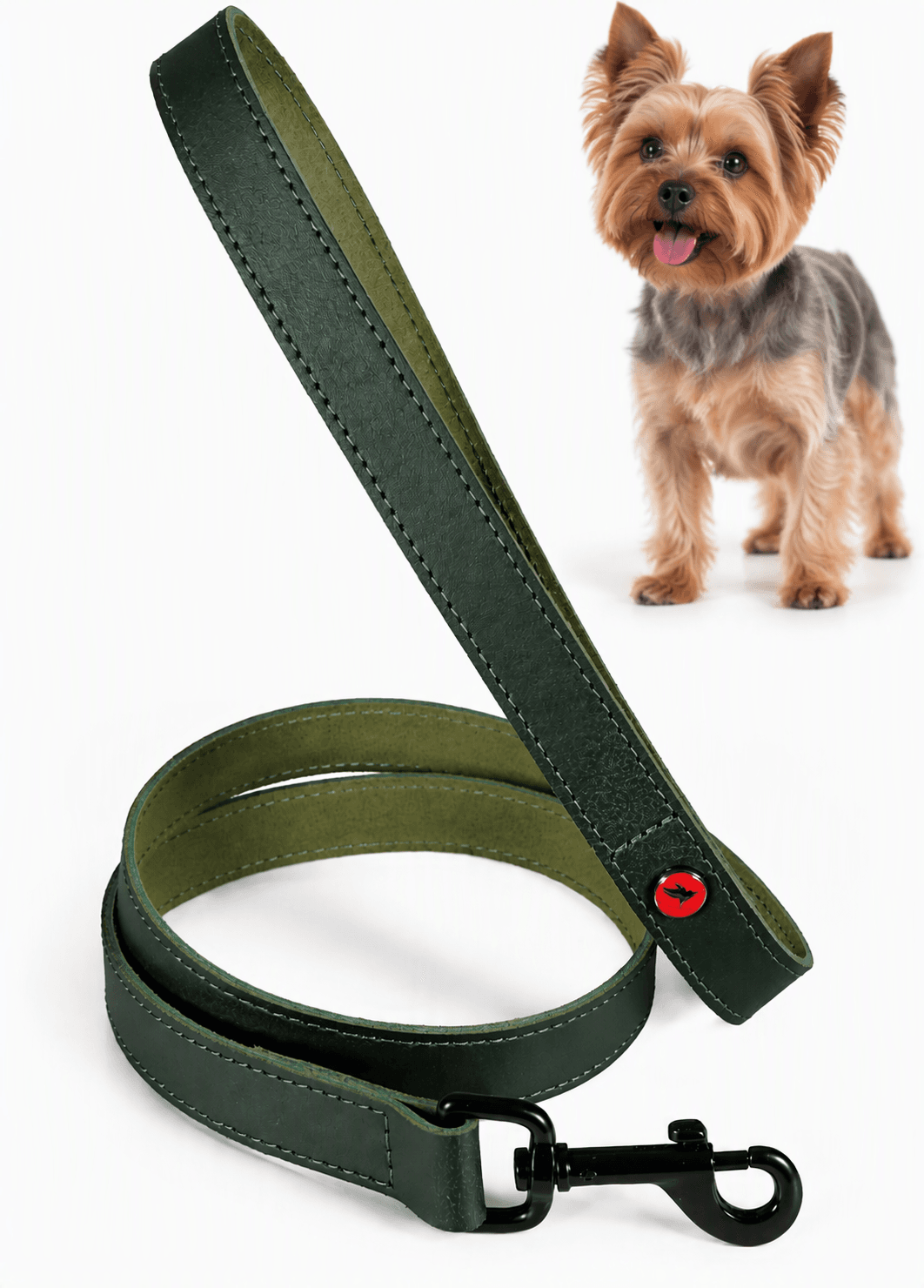 ZOLUX Klassische Lederleine für Hunde, 1 m, 15 mm, grün – Bild 1