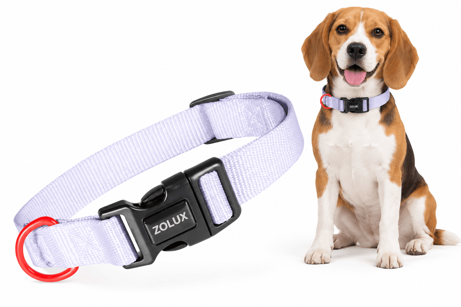 ZOLUX Klassisches Nylon-Hundehalsband, 26–39 cm, 15 mm, lila – Bild 1