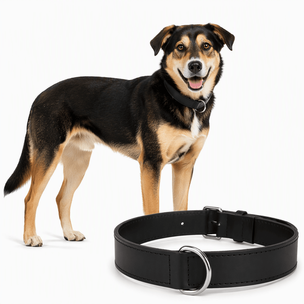 ZOLUX Verstärktes Hundehalsband aus Doppel-Leder, 55 cm, schwarz – Bild 8