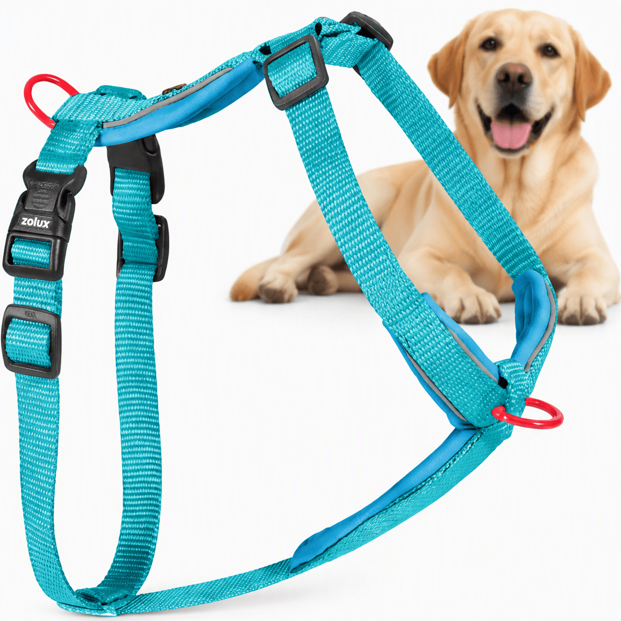 ZOLUX Premium-Nylon-Hundegeschirr, Größe L/XL, 65–97 cm, 25 mm, türkis – Bild 1