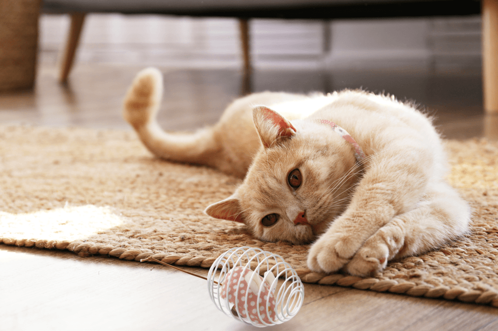 ZOLUX DOTIE Maus-Katzenspielzeug auf einer Feder, rosa – Bild 3