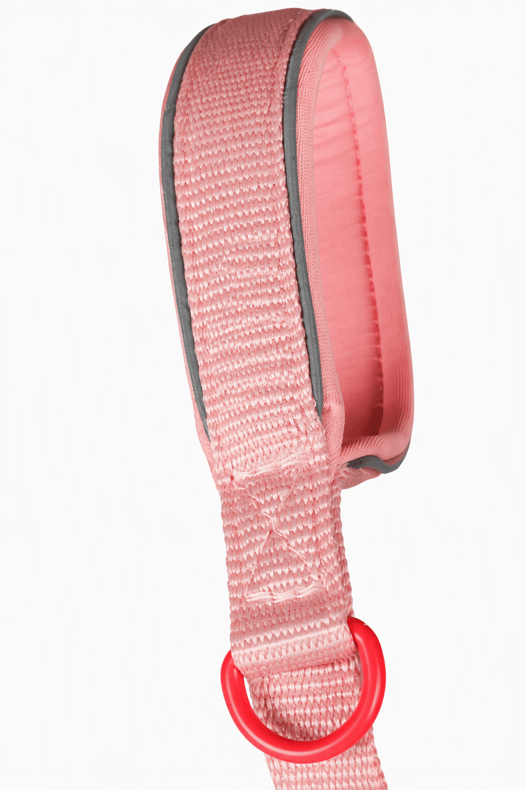 ZOLUX Premium-Nylon-Hundeleine, Größe XL, 1,2 m, 25 mm, rosa – Bild 5