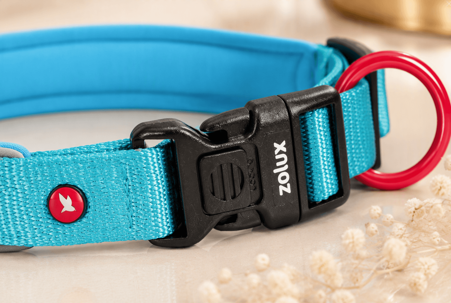 ZOLUX Premium-Nylon-Hundehalsband, Größe L, 45–50 cm, 25 mm, türkis – Bild 5