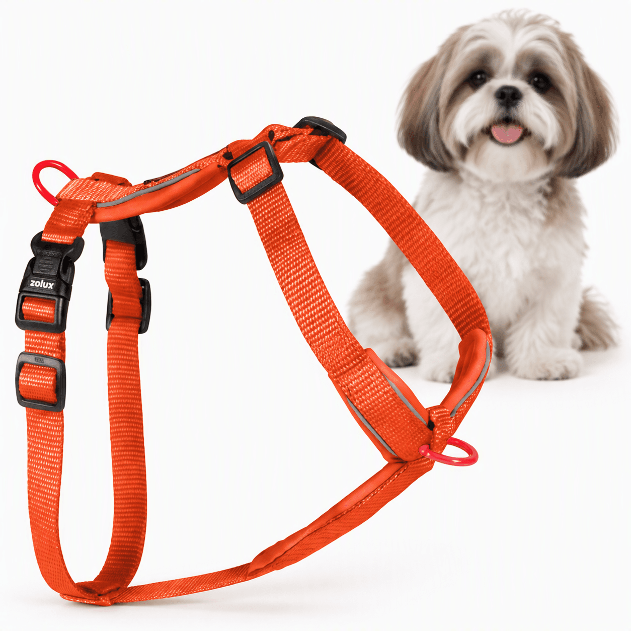 ZOLUX Premium-Nylon-Hundegeschirr, Größe S, 38–56 cm, 15 mm, rostbraun – Bild 1